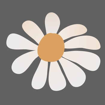Daisy Flowers Decoration vector