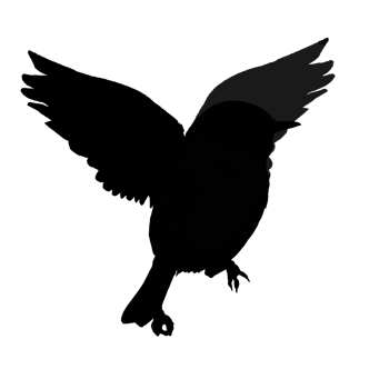 logo icon small bird flying png