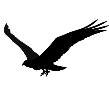 clipart icon hawk png