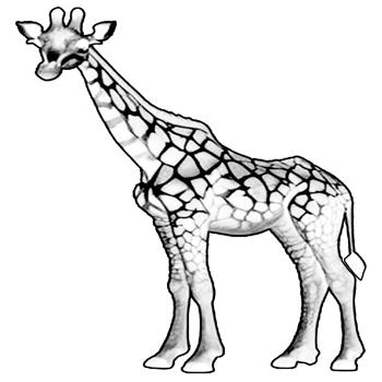 icon animal call giraffe png