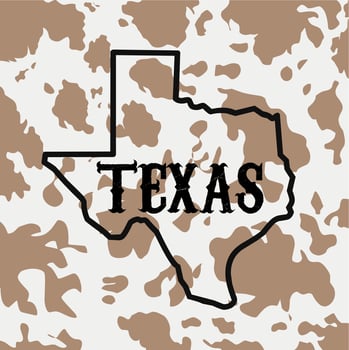 vector of texas map in cow pattern, perfect for print, t-shirt design, etc