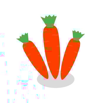 orange carrot illustration vector