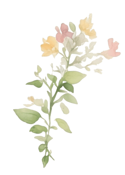 Flower watercolor clip art AI generated png