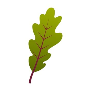 Green oak leaf vector