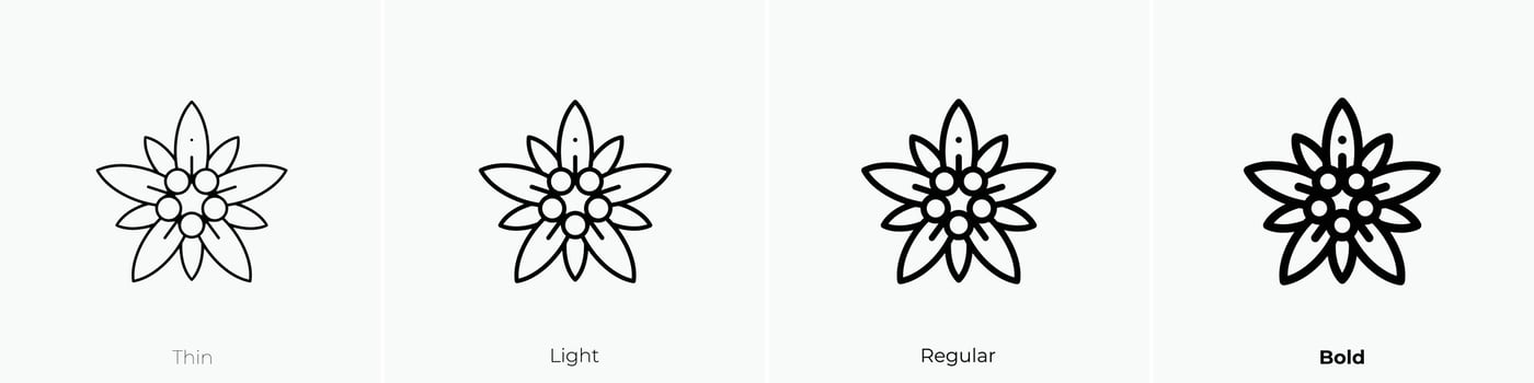 edelweiss icon. Thin, Light, Regular And Bold style design isolated on white background vector