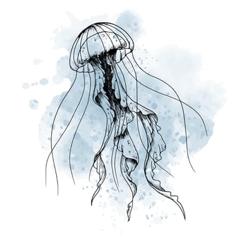 Drawing of Jellyfish with watercolor blue spot. graphic illustration of jelly fish painted by black inks on isolated background. Sketch of ocean underwater animal for icon or logo in outline style. vector