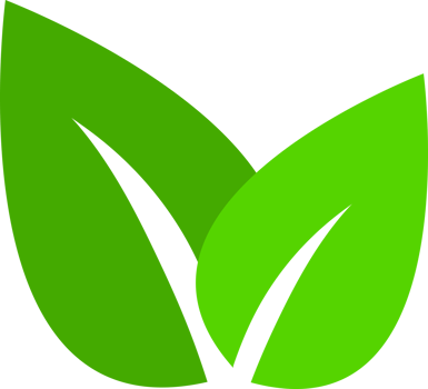 Green leave tree png