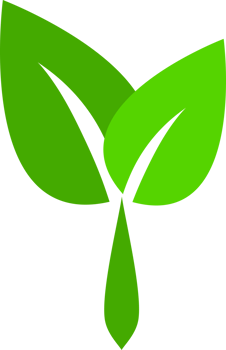 Green leave tree png