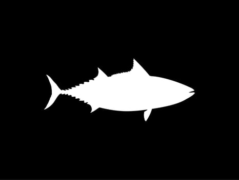 Flat Style Silhouette of the Tuna Fish, can use for Logo Type, Art Illustration, Pictogram, Website or Graphic Design Element. Vector Illustration
