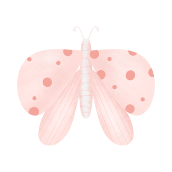 beautiful butterfly illustration png