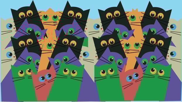 cat wallpaper for desktop vector