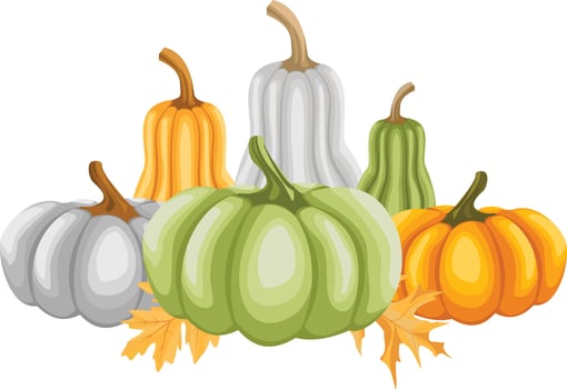 Autumn Pumpkins, sunflowers, leaves, nature botanical decorative collection. vector