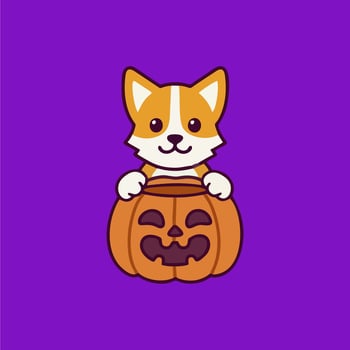 the best illustrations of cute and adorable pumpkins vector