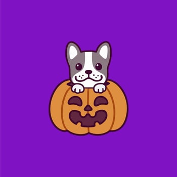 the best illustrations of cute and adorable pumpkins vector