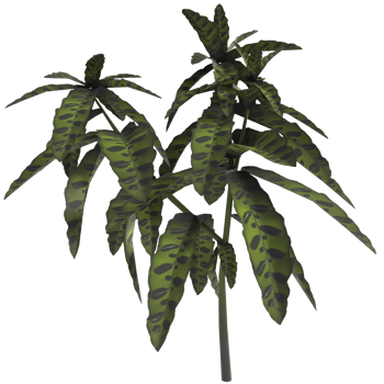a plant with green leaves on a transparent background png