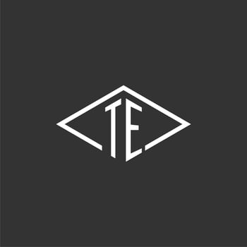 Initials TE logo monogram with simple diamond line style design vector