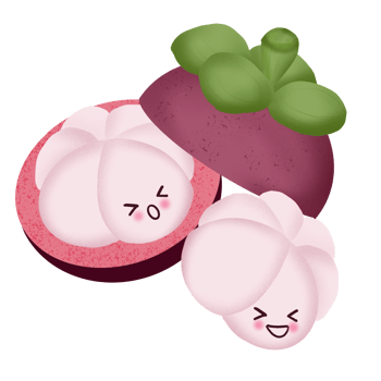 Funny cute Mangosteen png