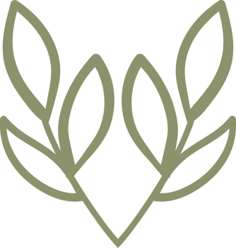 natural floral doodle ornament png