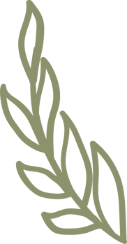 natural floral doodle ornament png