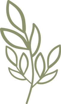 natural floral doodle ornament png