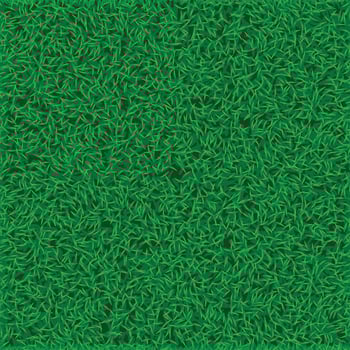 picture of grass lawn vector
