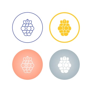 Raspberry Vector Icon