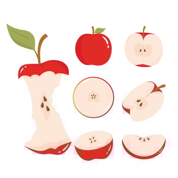 Apple Illustration Isolated In White Background vector