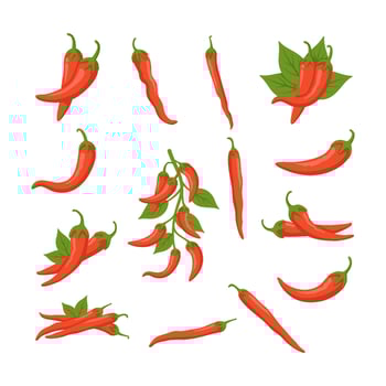 Set of Red Chilli Vector Illustration