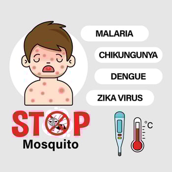 STOP Mosquitos, Warning sign infographic. vector