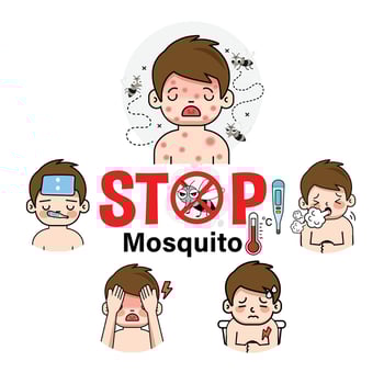 STOP Mosquitos, Warning sign infographic. vector