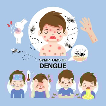 illustration of dengue fever symptoms infographics vector background