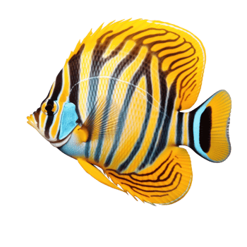 Vivid fish isolated png