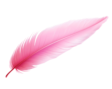 Pink feather isolated png