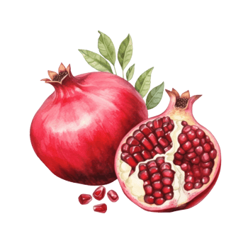 Ripe pomegranate isolated png