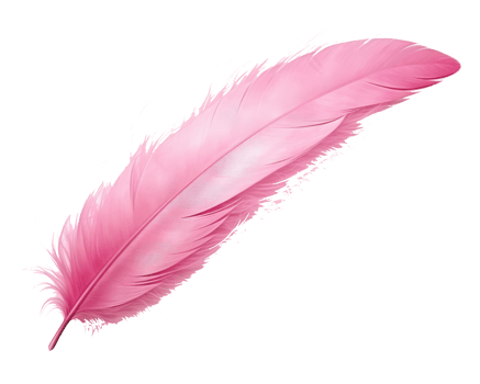 Pink feather isolated png
