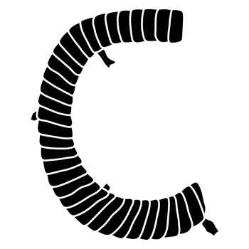 Uppercase C font design png