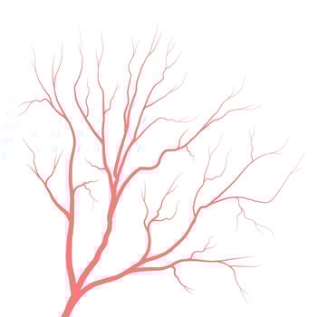 Human eye blood veins vessels silhouettes vector illustration isolated on white background.