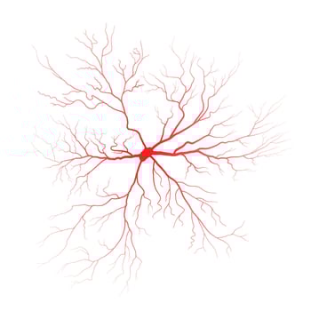 Human eye blood veins vessels silhouettes vector illustration isolated on white background.
