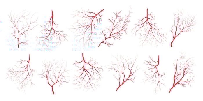 Human eye blood veins vessels silhouettes vector illustration set isolated on white background.