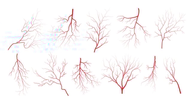 Human eye blood veins vessels silhouettes vector illustration set isolated on white background.