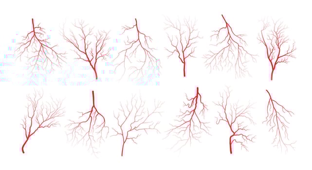 Human eye blood veins vessels silhouettes vector illustration set isolated on white background.