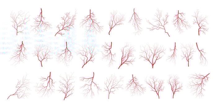 Human eye blood veins vessels silhouettes vector illustration set isolated on white background.