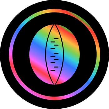 Rockmelon Vector Icon