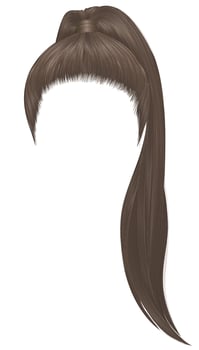 trendy women hairs brown colour .high ponytail . fashion beauty style . vector