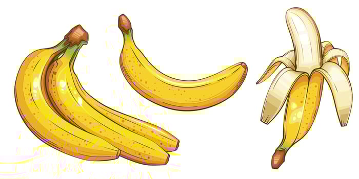 Banana isolated vector illustration. Fruits colorful illustrations isolated on white background.  Fruit collection.