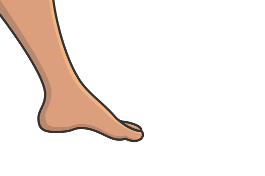 Human Feet Pair vector illustration. png