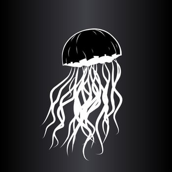 Jellyfish animal black white vector design on black background