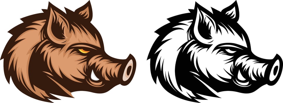 Hog head side view logo template vector illustration , Hog pig, wild boar head side view icon , clip art , company logo symbol stock vector image