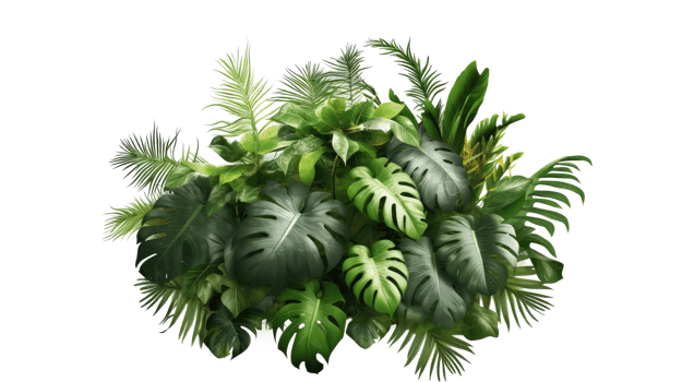 Tropical leaves, plants, bushes, natural floral arrangement . AI Generated png