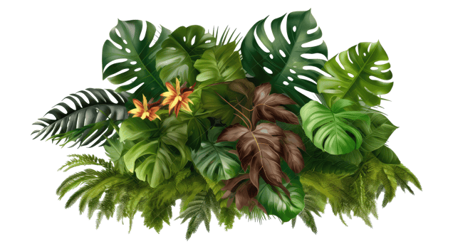 Tropical leaves, plants, bushes, natural floral arrangement . AI Generated png